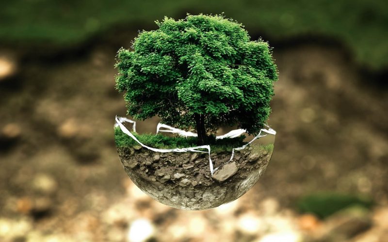 environmental-protection-683437_1280