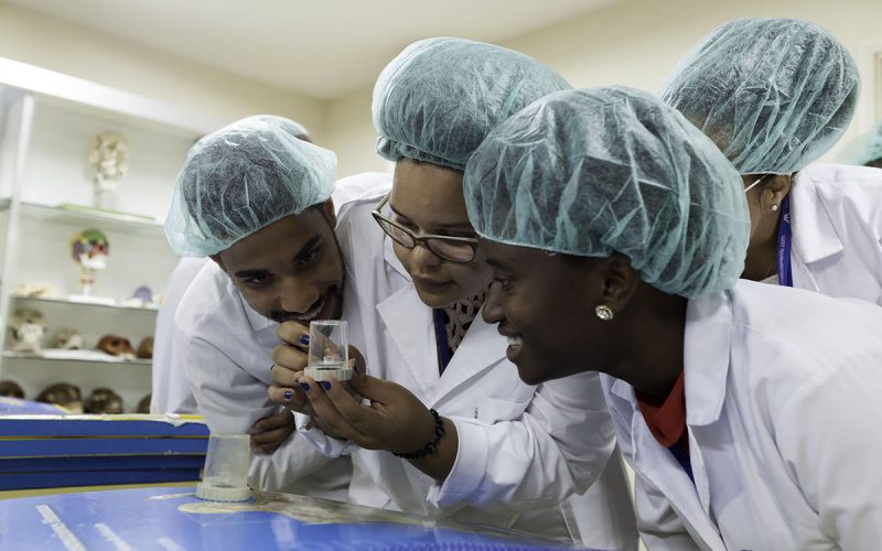 Estudiantes becados por el Campus ÁFRICA comienzan sus prácticas en Tenerife