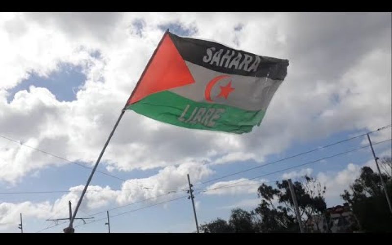 Finaliza la Marcha por la Libertad del Pueblo Saharaui en Tenerife