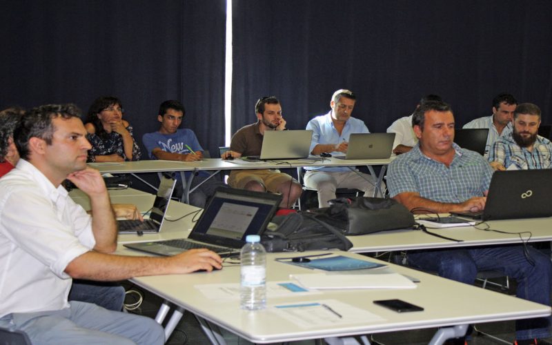 Proyecto creación pymes Macaronesia