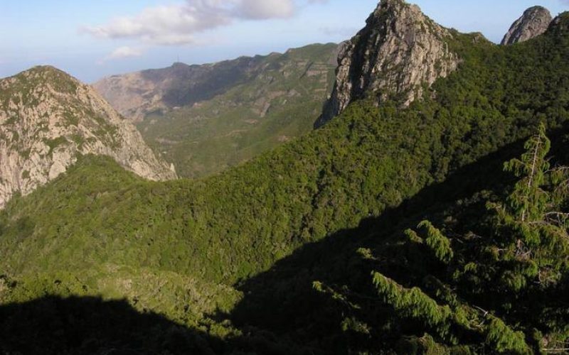 Parque Nacional de Garajonay