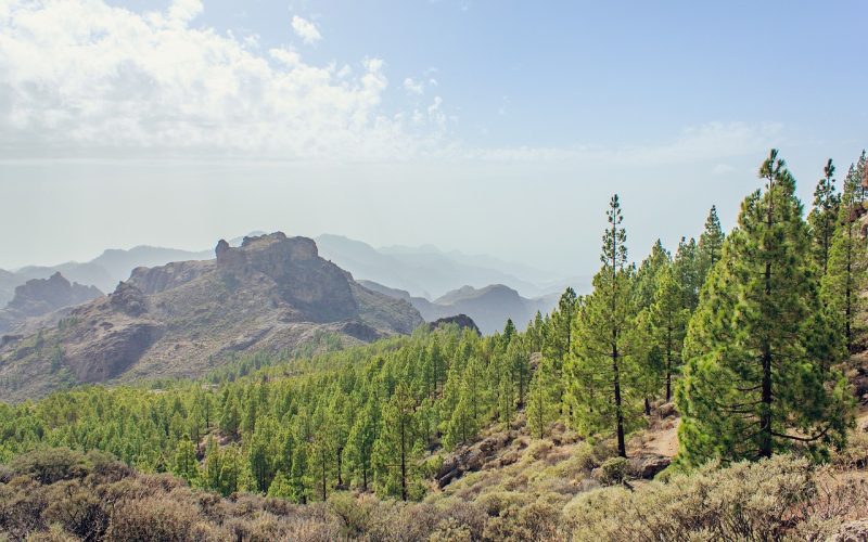 Gran Canaria
