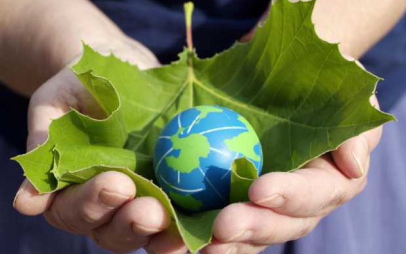 hands-holding-globe-in-leaf