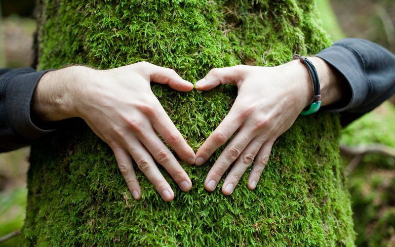 Biodiversidad y Medioambiente