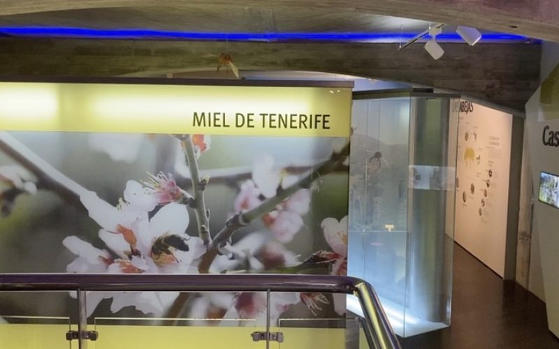 La Casa de la Miel, el arte de criar abejas