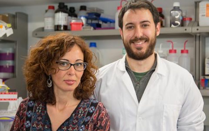 Los investigadores Conchi Lillo y Antonio Escudero, de la Universidad de Salamanca