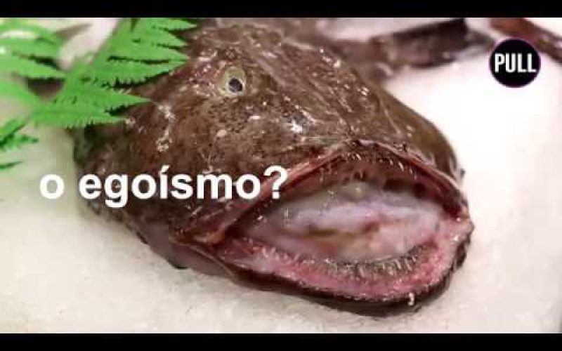 El desperdicio alimentario, problema social del siglo XXI