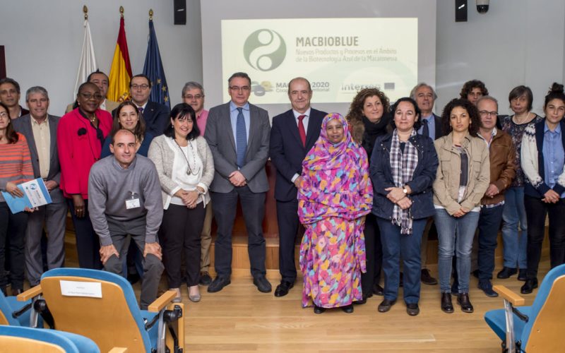 La ULL participa en un proyecto sobre implantación de algas en usos industriales