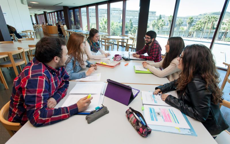 beca inserción laboral de la fundación canaria general de la ull