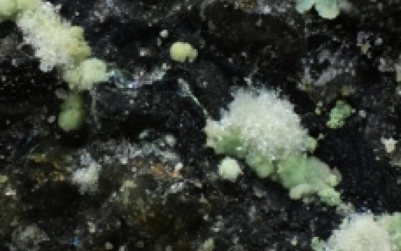 mineral_jpg_593855163