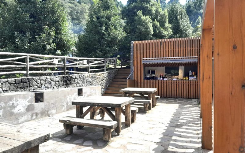 El Sauzal se suma a la reforestación