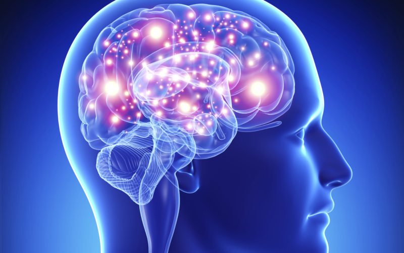La Semana del Cerebro se celebra cada marzo desde 1995.