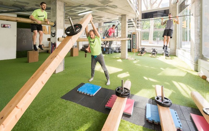 paleotraining