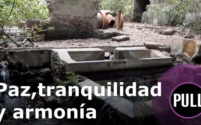 Paz, tranquilidad y armonía