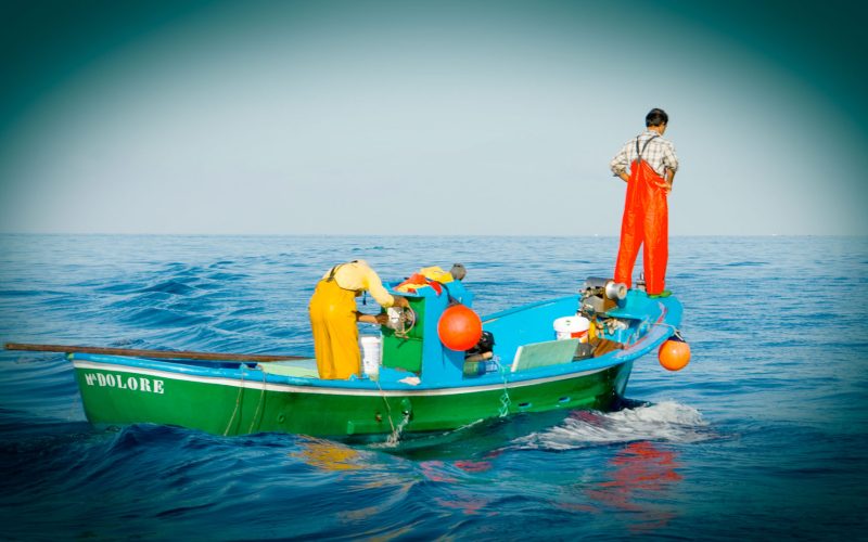 pesca