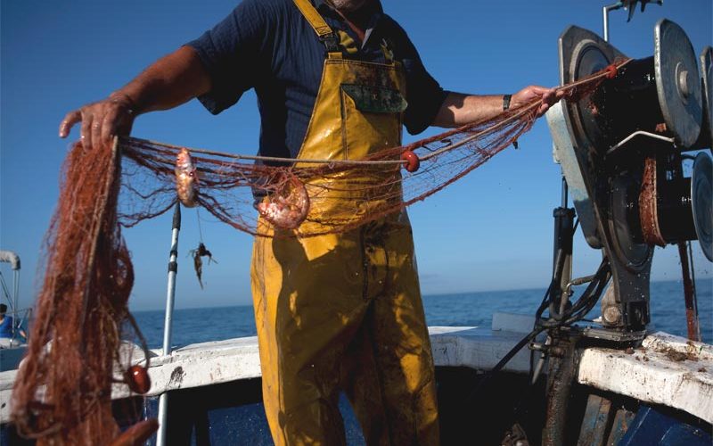 simposio internacional analiza la sostenibilidad de la pesca artesanal en Europa (foto: Greenpeace)