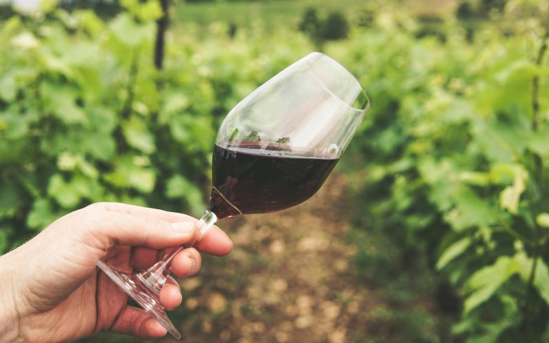 Santa Úrsula acoge la VIII Feria enogastronómica, mañana sábado