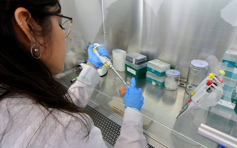 Entrega de premios de la Cátedra de Farmacia 2023