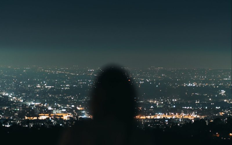 pexels-skyler-sion-9808163