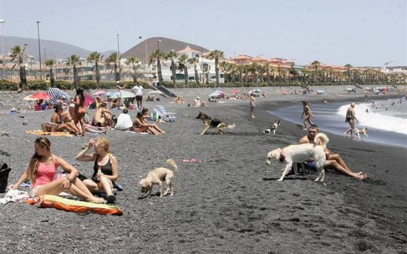 Plaza de Güímar. Espacio habilitado para perros.