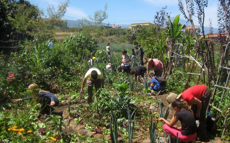 premio-huertos-ecologicos