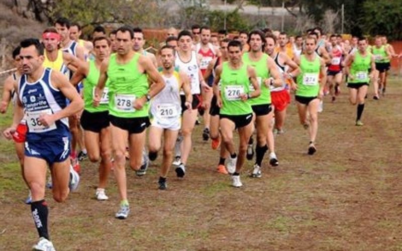 Trofeo Rector de campo a través 2016