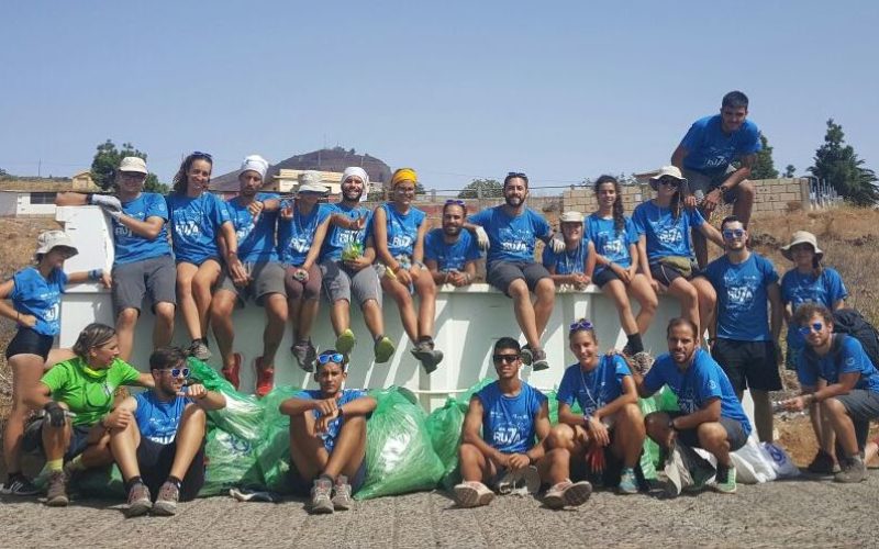 Estudiantes del programa Ruta Siete de la ULPGC limpian rabo de gato en el Camino Viejo a Candelaria