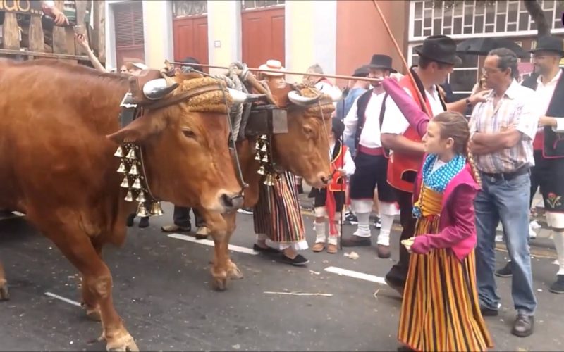 San Benito Abad, una romería pasada por agua