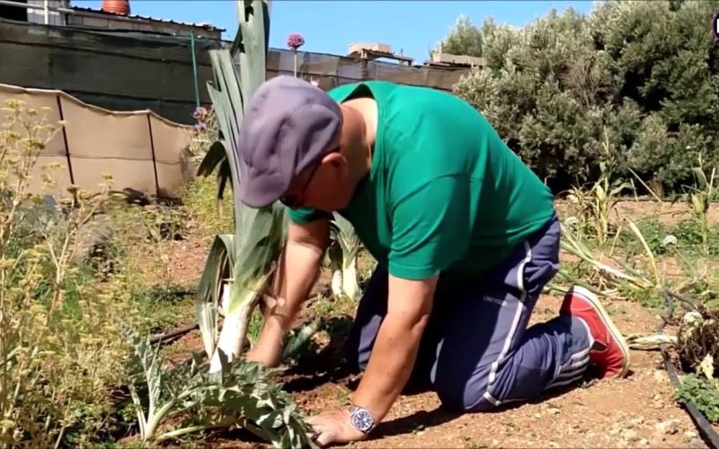 Tierra, agüita y semillas