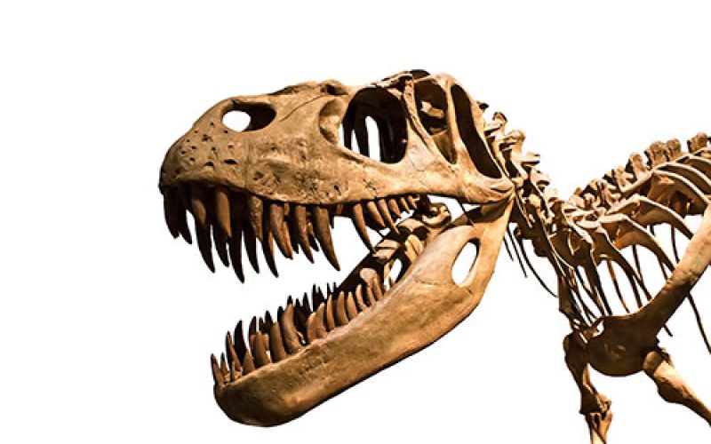 Dinosaurio