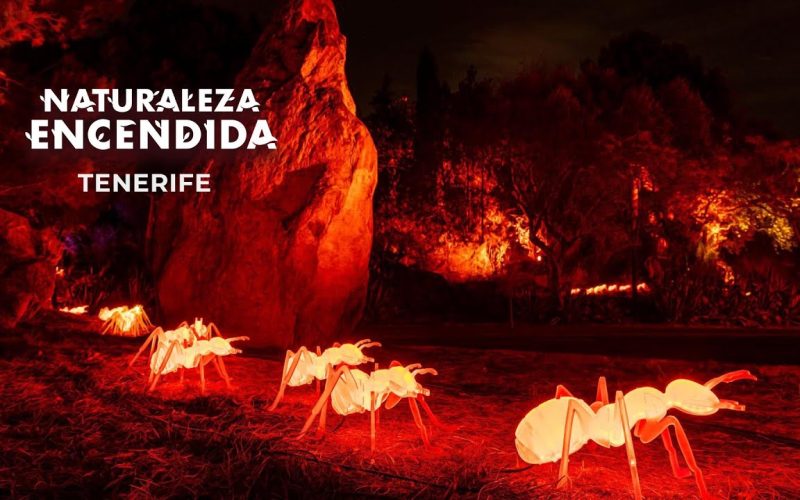 Una experiencia inmersiva