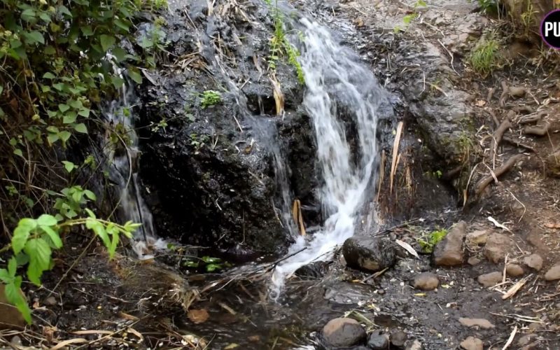 Valoremos el agua