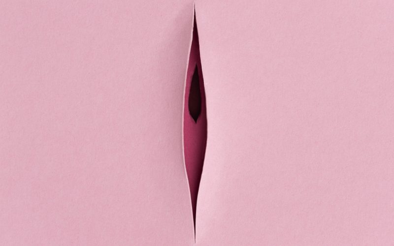 Aparato reproductor femenino