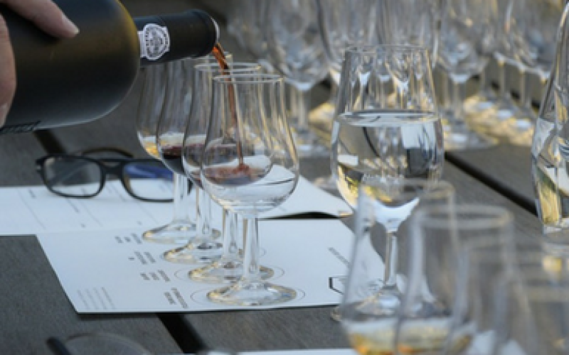 Curso de Especialista en Gestión Enoturística y Análisis Sensorial de Vinos