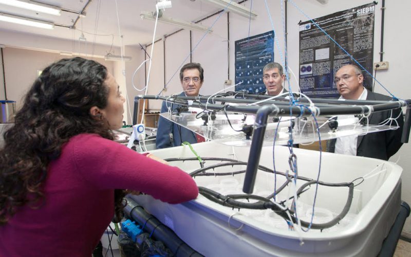 Fernando Clavijo conoce los proyectos de los laboratorios de Genética y Biología Marina de la ULL