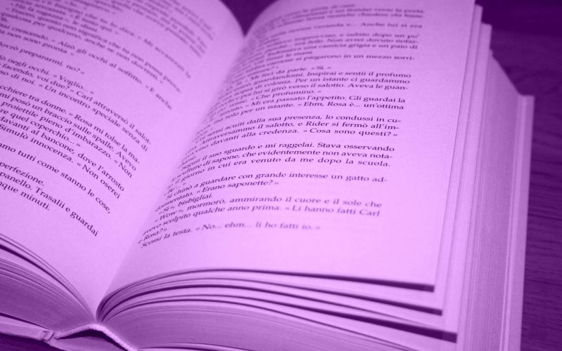 writing-book-page-open-book-brand-pages-1171675-pxhere.com (1)
